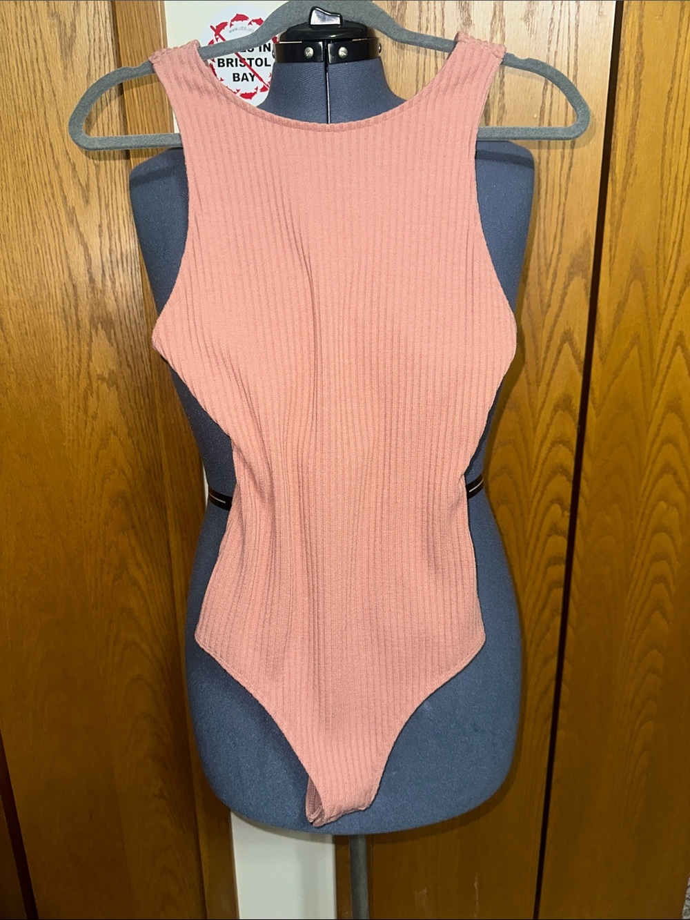 Express Ribbed Bodysuit in Dusty Rose